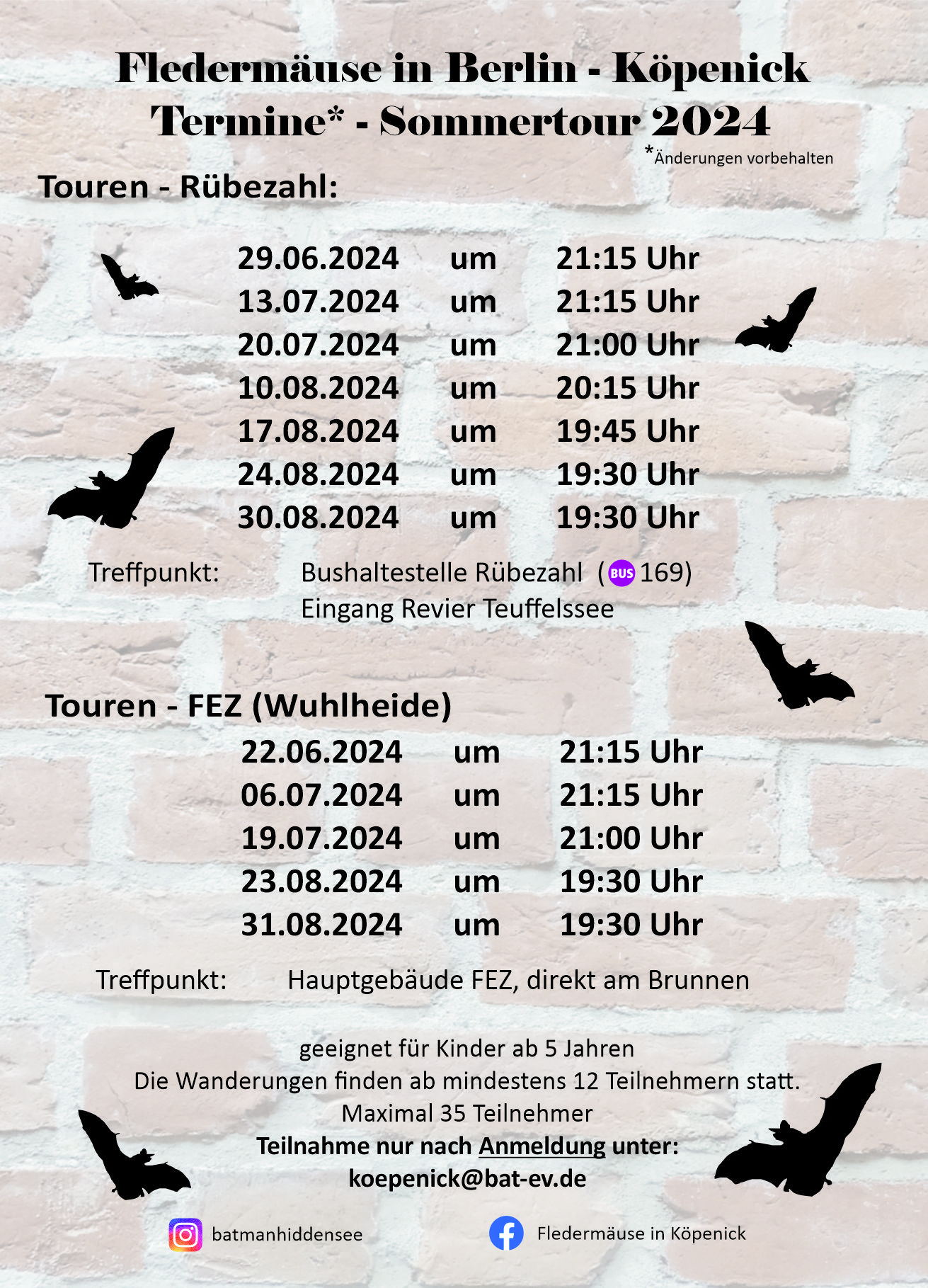  Flyer Sommer 2024