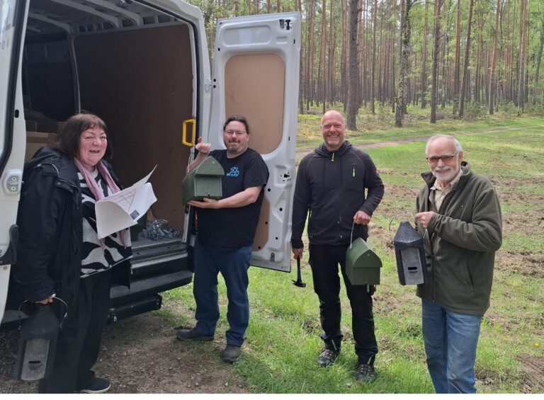 Neue Fledermauskästen in der Schorfheide